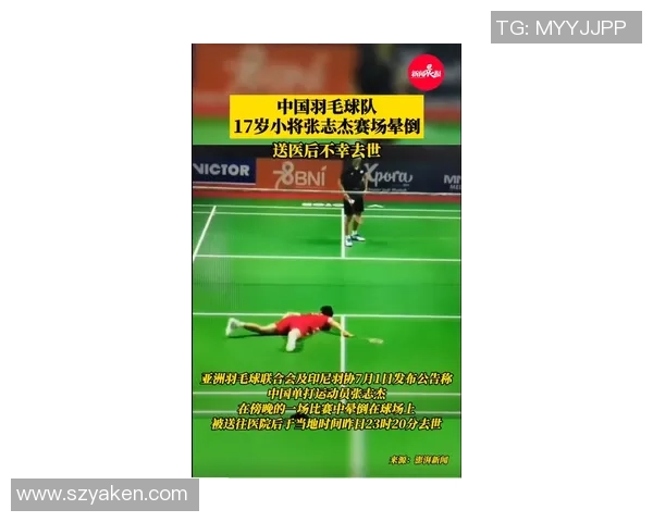 杭州羽毛球队运动员个人能力分析及其对比赛成绩的影响研究